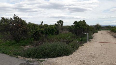 Solvia Inmobiliaria  Suelo Rústico Alberic, imagen 2