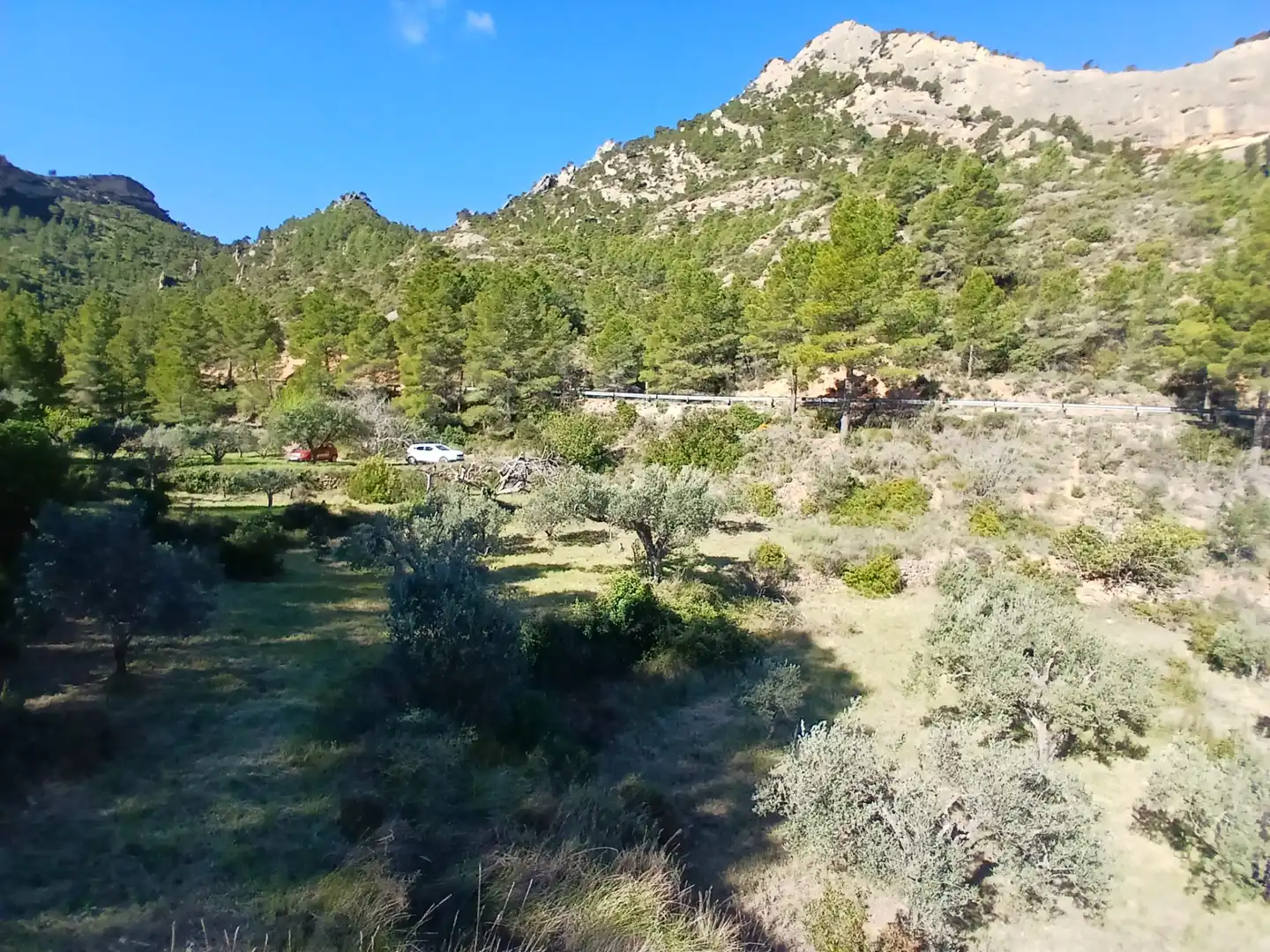 Land for sale in Prat de Comte