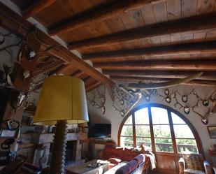 Living room of Country house for sale in Lladurs  with Heating, Private garden and Terrace