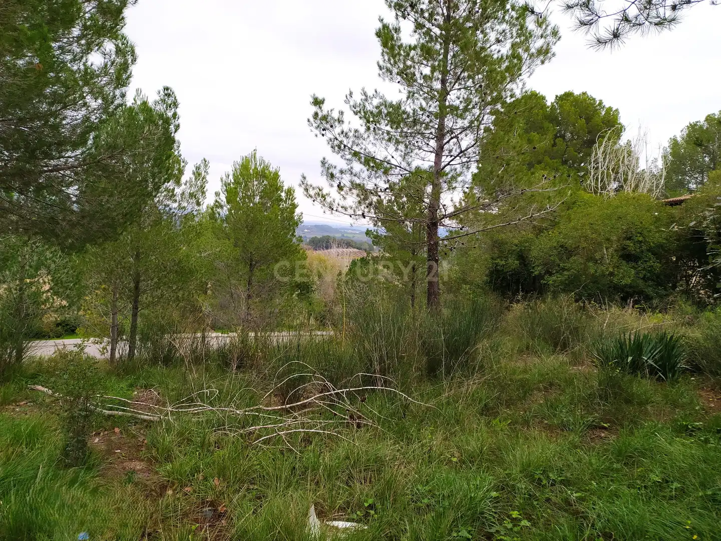 Residential land for sale in RONDA SOLEIA 22, imagen 33