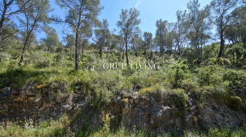 TERRENO EN MAS MESTRE, OLIVELLA, immagine 4