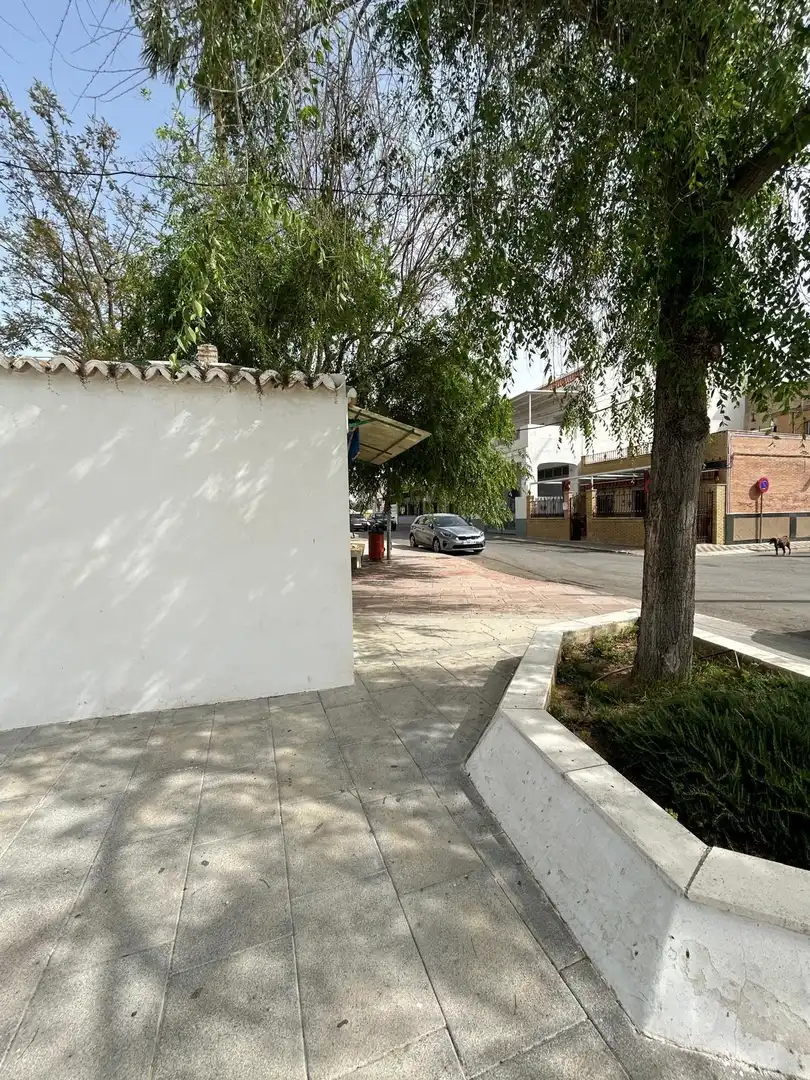Vista exterior de Casa o chalet en venta en Utrera