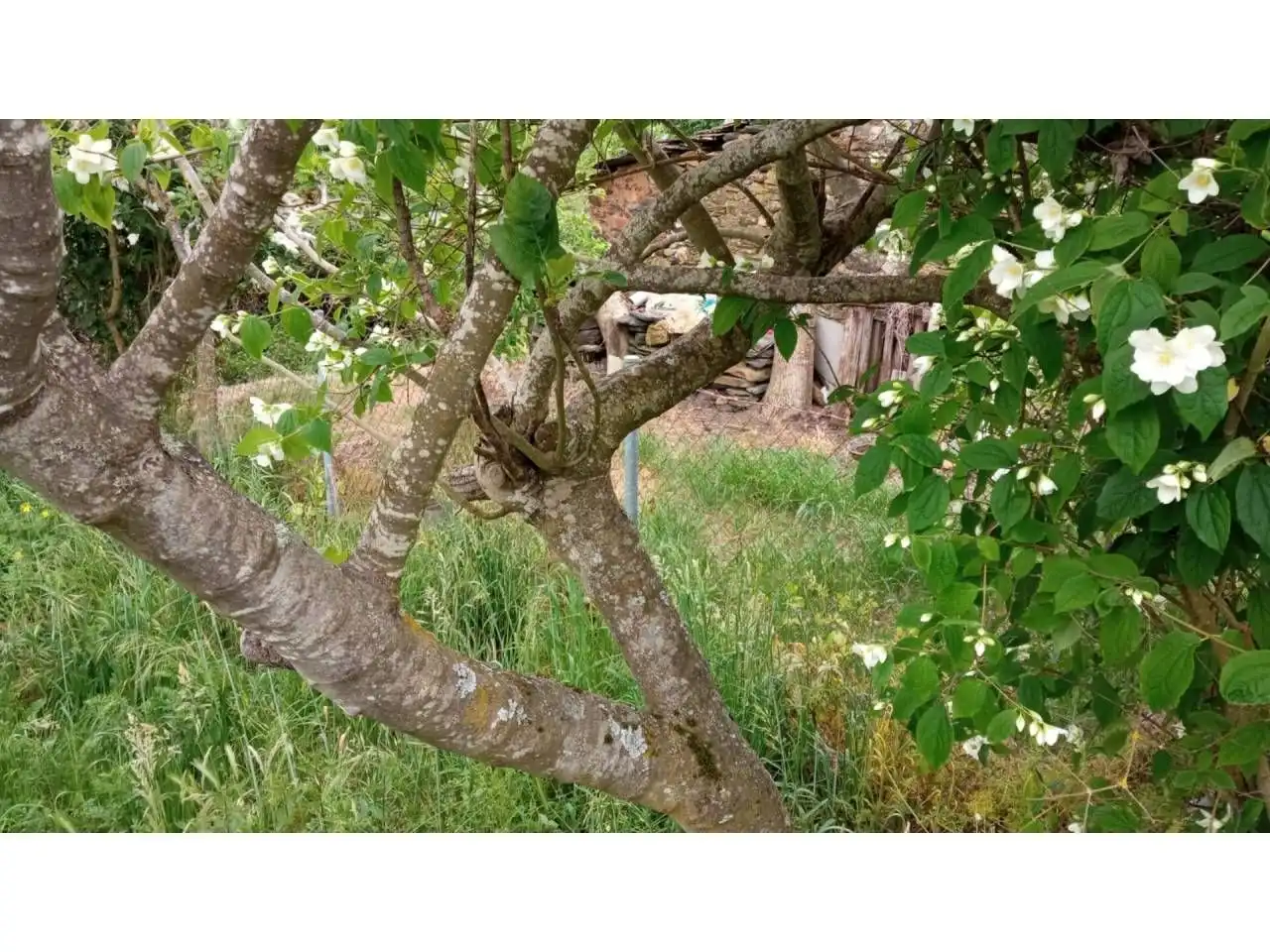 Jardí de Finca rústica en venda en A Rúa 