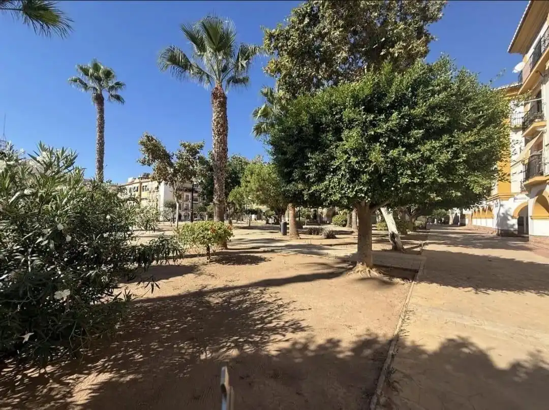 Penthouse with lift for sale in Calle Frigiliana, imagen 2