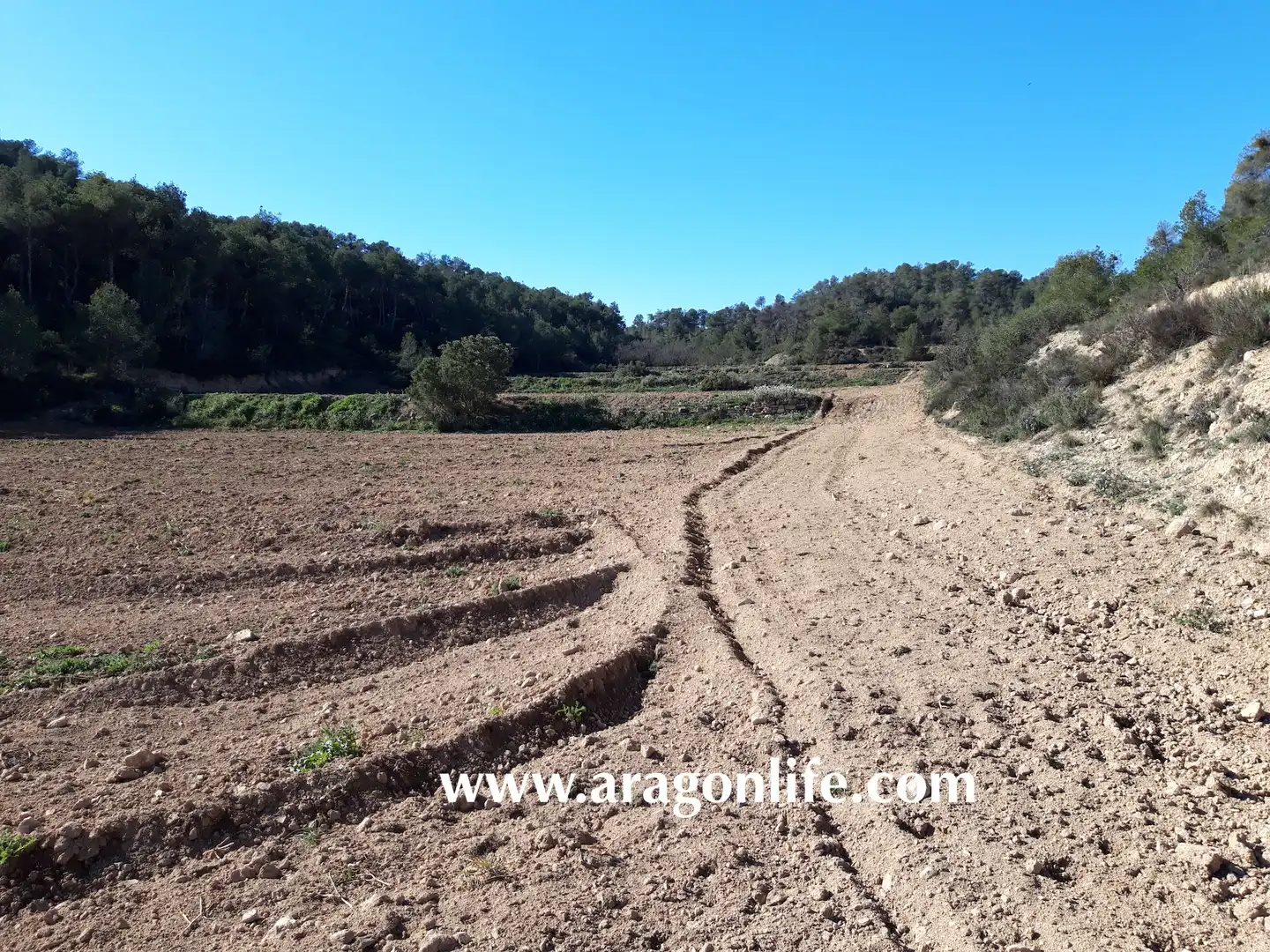 Finca rústica en venta en Nonaspe