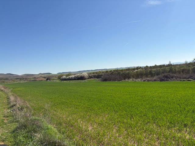 Terreno en Venta en Villamediana de Iregua