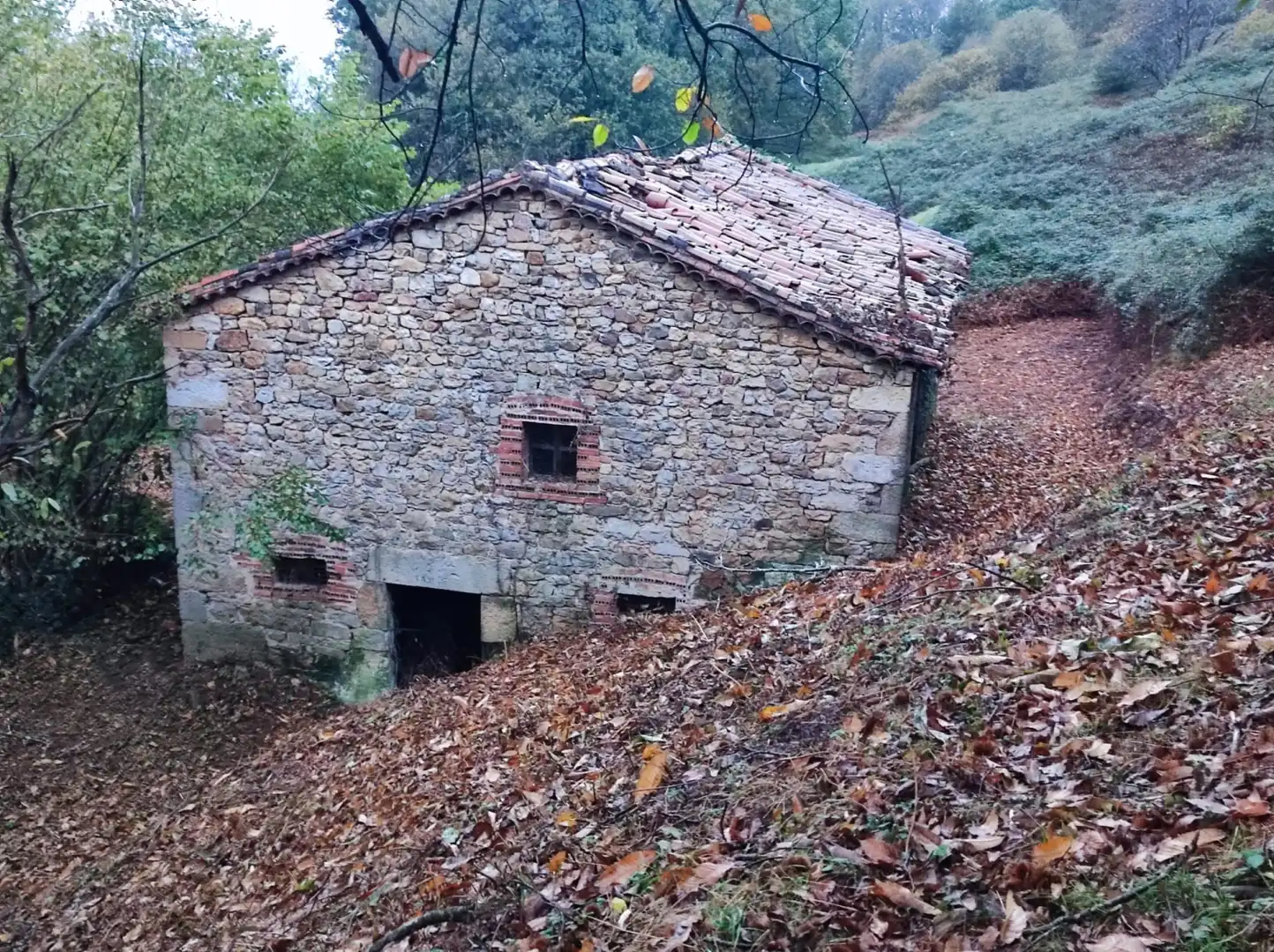Vista exterior de Casa o chalet en venta en Santiurde de Toranzo con Jardín privado