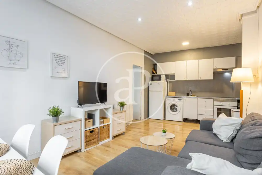 Sala de estar de Piso de alquiler en Valencia con Aire acondicionado, Amueblado y Balcón