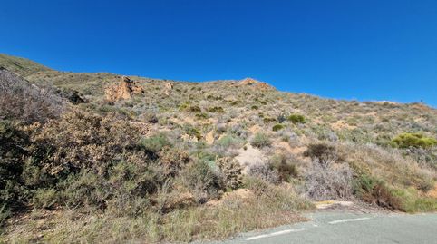 Foto 3 de Terreno en venta en Carretera 30813, Purias, Lorca