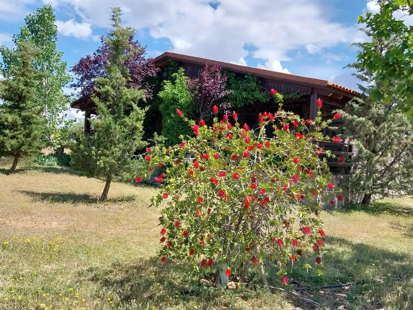 Casa en venta en Viso del Marqués, imagen 4