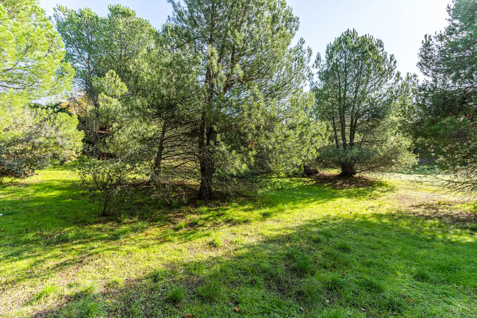 Residencial en venda en Las Rozas de Madrid