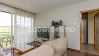 Living room of Flat for sale in Manlleu  with Terrace and Balcony