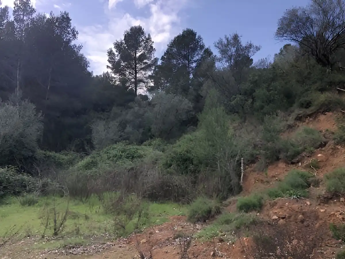 Rustikales Grundstück zum Verkauf in PARAJE EMBASTIDA O BASTIDA, imagen 6