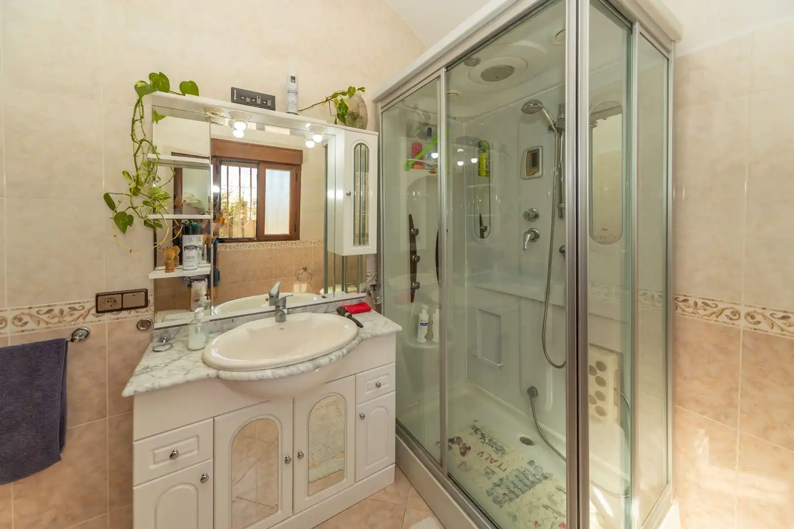 Bathroom of Country homes for sale in Guadix  with Terrace, Storage room and Furnished