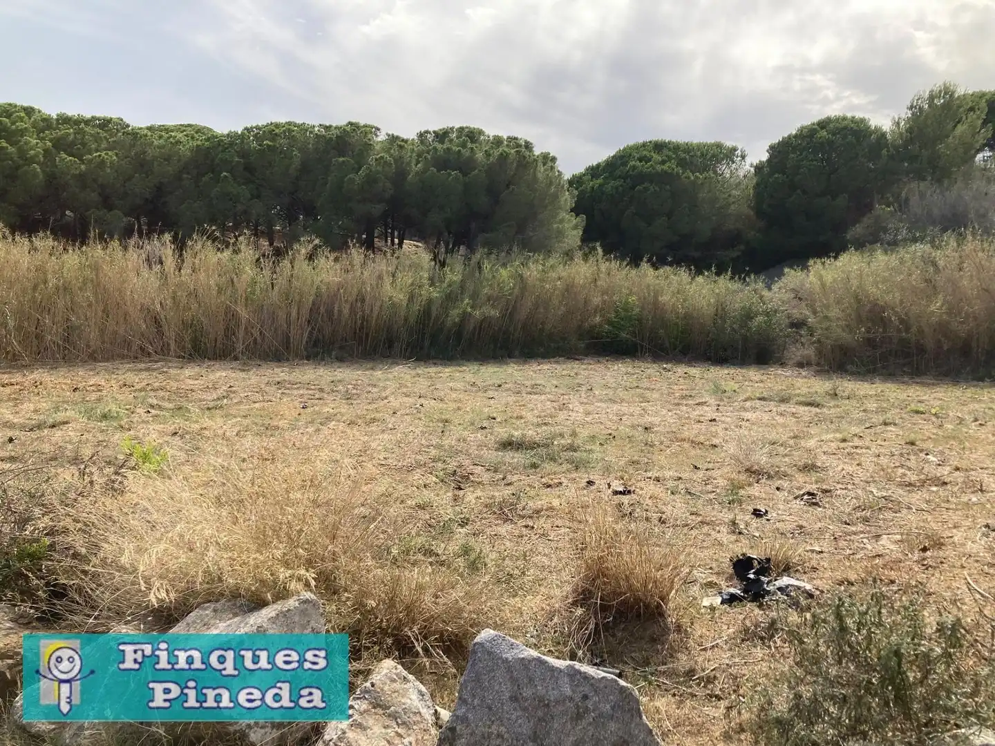 Rural land for sale in Calella, imagen 13