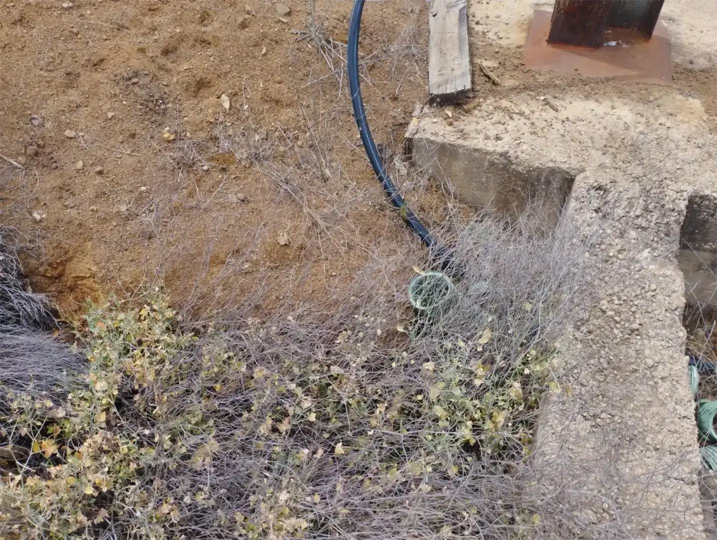 Garten von Grundstücke zum Verkauf in Almadén