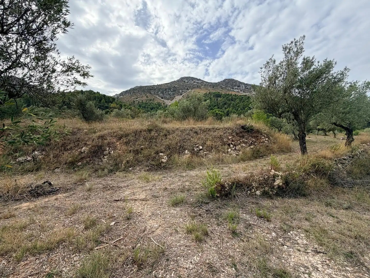 Residencial en venta en Fageca, Alicante