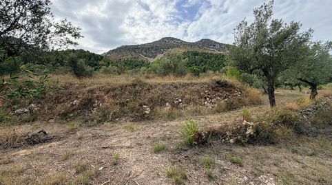 Venta parcela rustica en FachecaAlicante