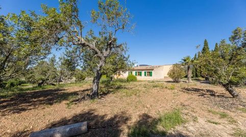 Foto 5 de Finca rústica en venta en Alaró, Illes Balears