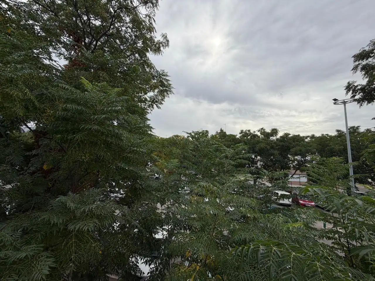 House for sale in Calle Belén 13, imagen 43