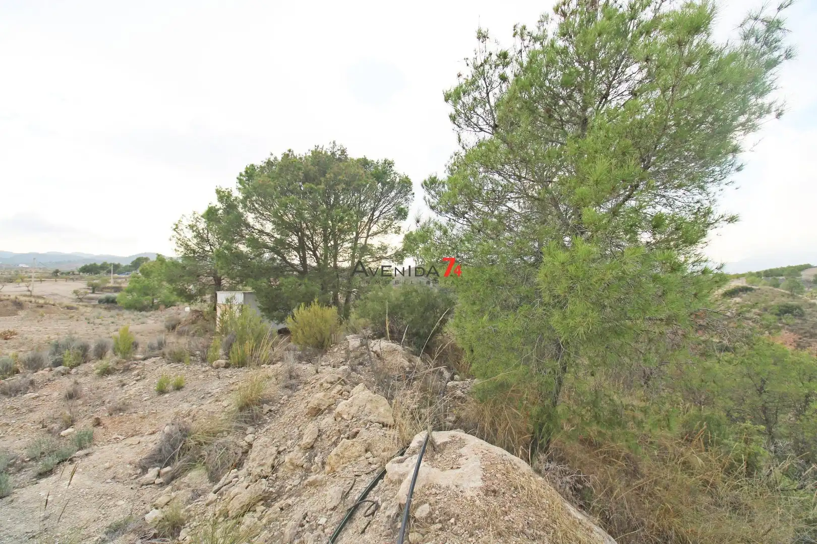 Terrains et parcelles à vendre à Pedanías Norte, imagen 10