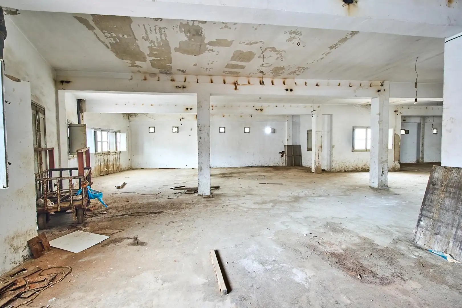 Inmuebles singulares con ascensor en venta en JOSE MORA, imagen 20