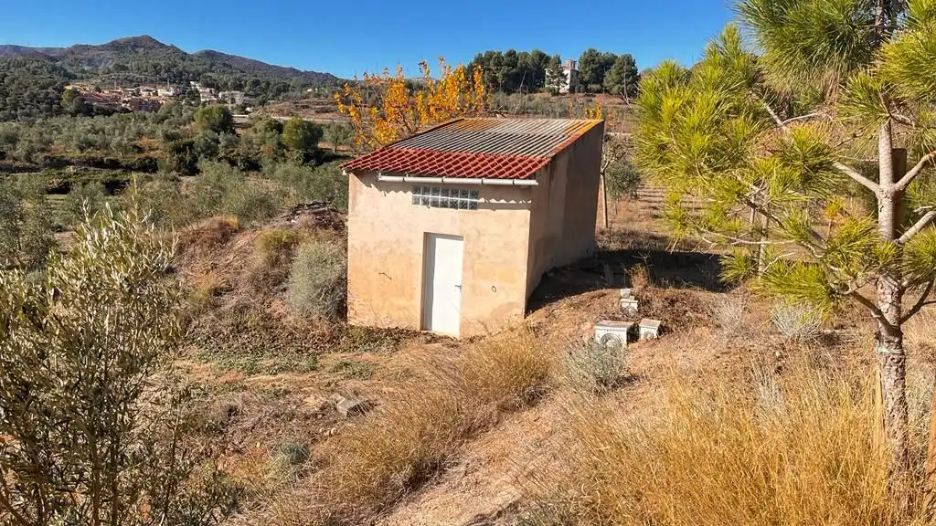 Terreny rústic en venda a Carrer del Dimecres, imagen 15