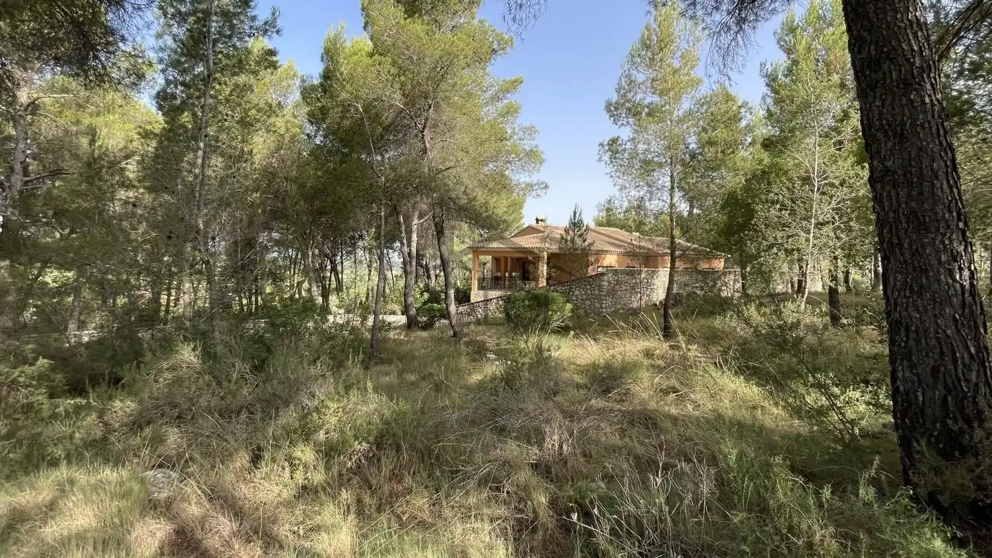 Jardín de Finca rústica en venta en Carcaixent con Jardín privado, Terraza y Trastero