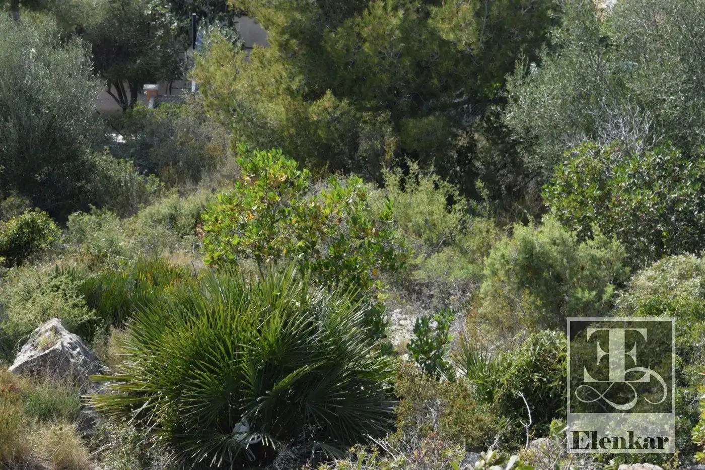 Terreny rústic en venda a SANTA MARIA DE MONTSERRAT, imagen 9
