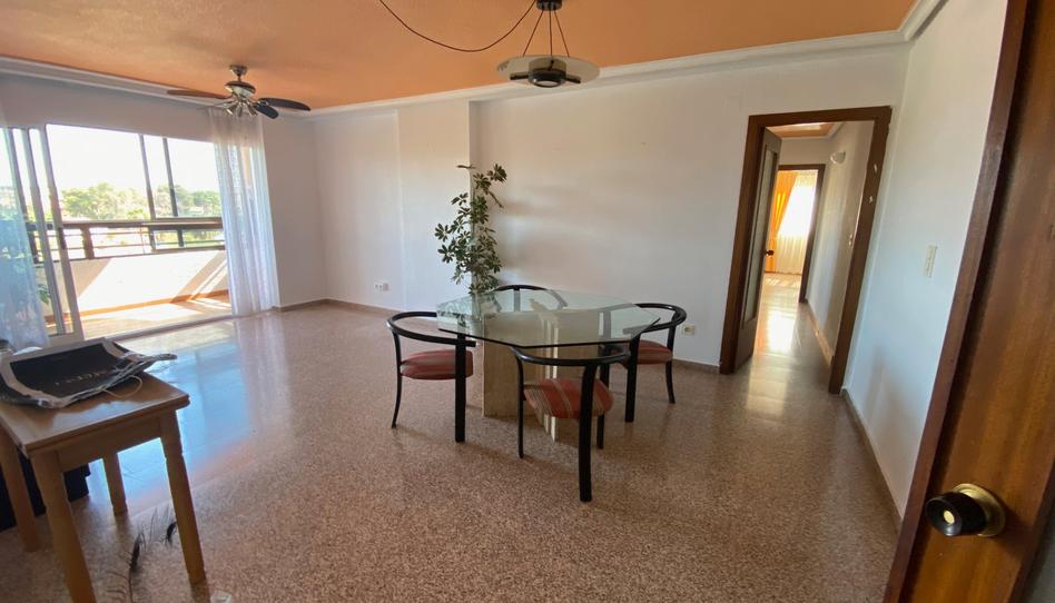 Photo 1 of Flat to rent in Calle Penáguila, Divina Pastora, Alicante