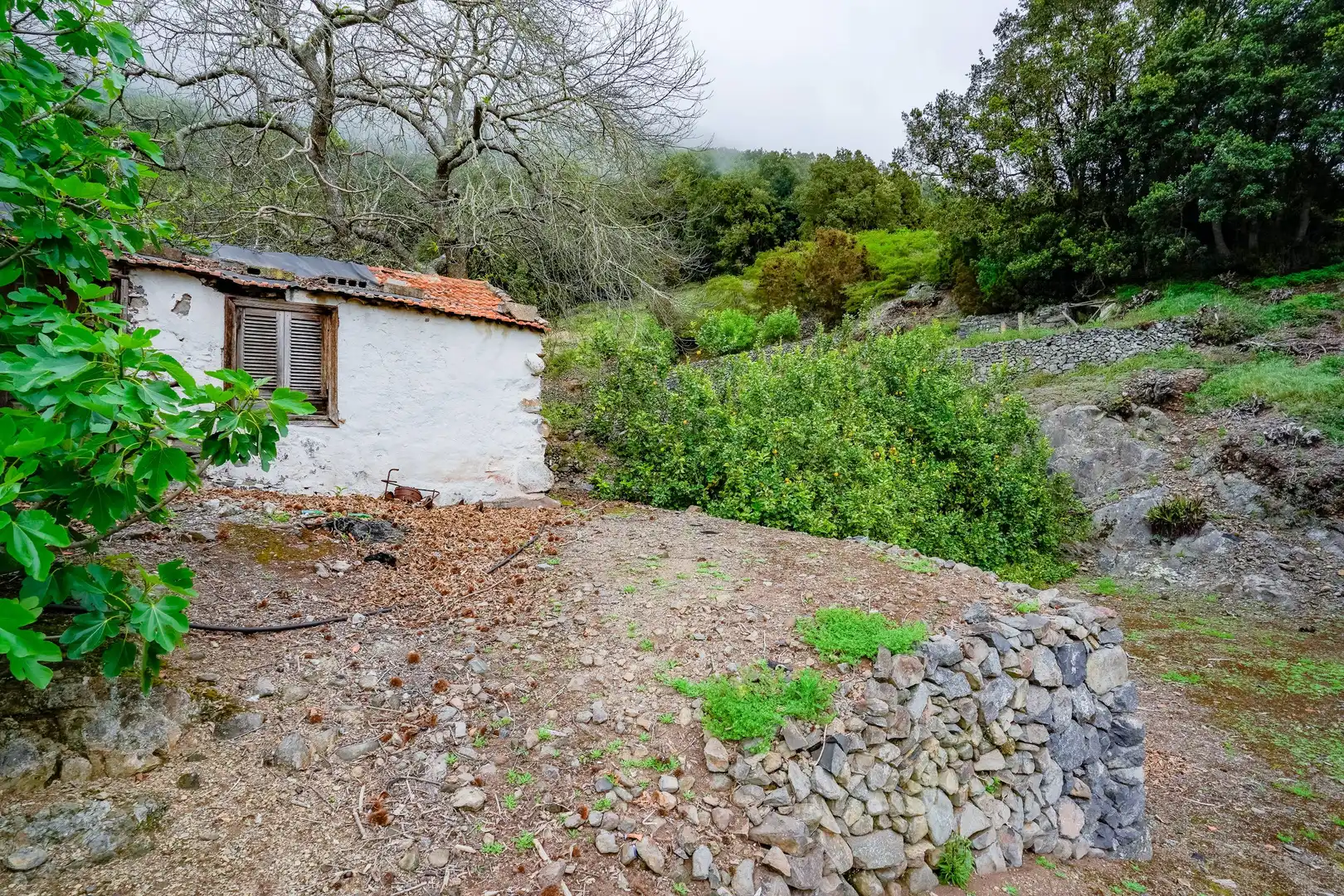 Finca rústica en venda a Calle Calle El Cedro, 52, Hermigua