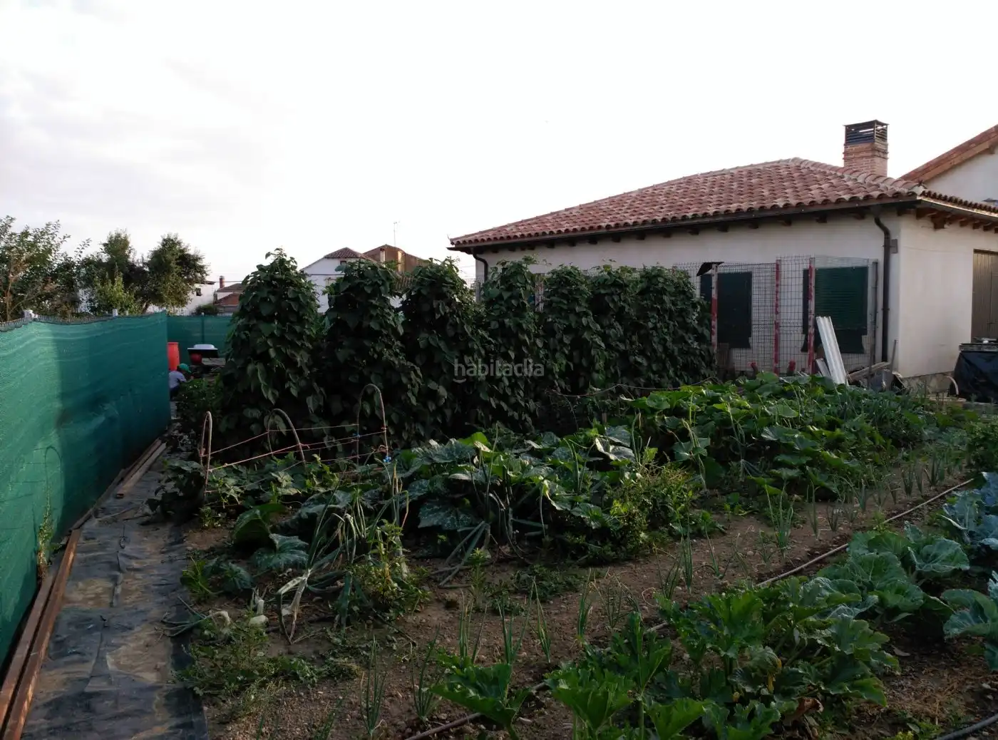 Casa con jardín en venta en Calle de la Alegria 50, imagen 17