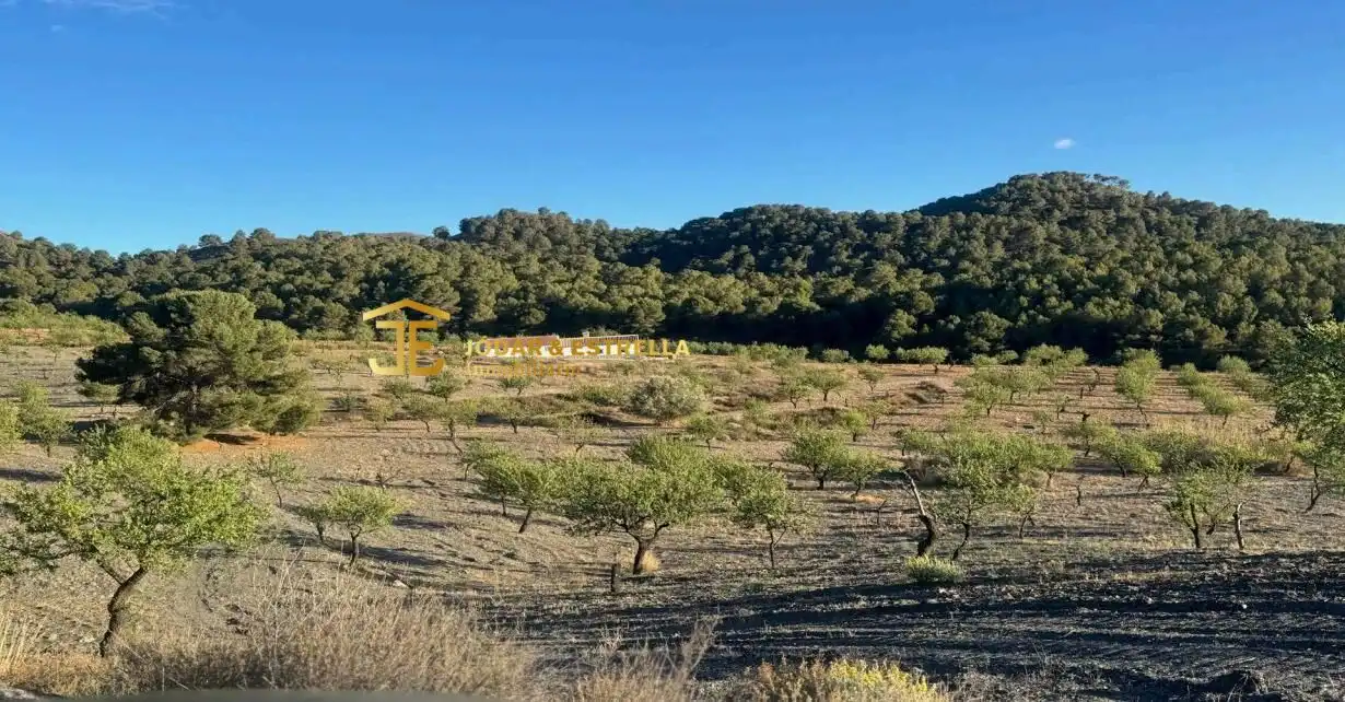 Casa o xalet en venda a Carrasquilla