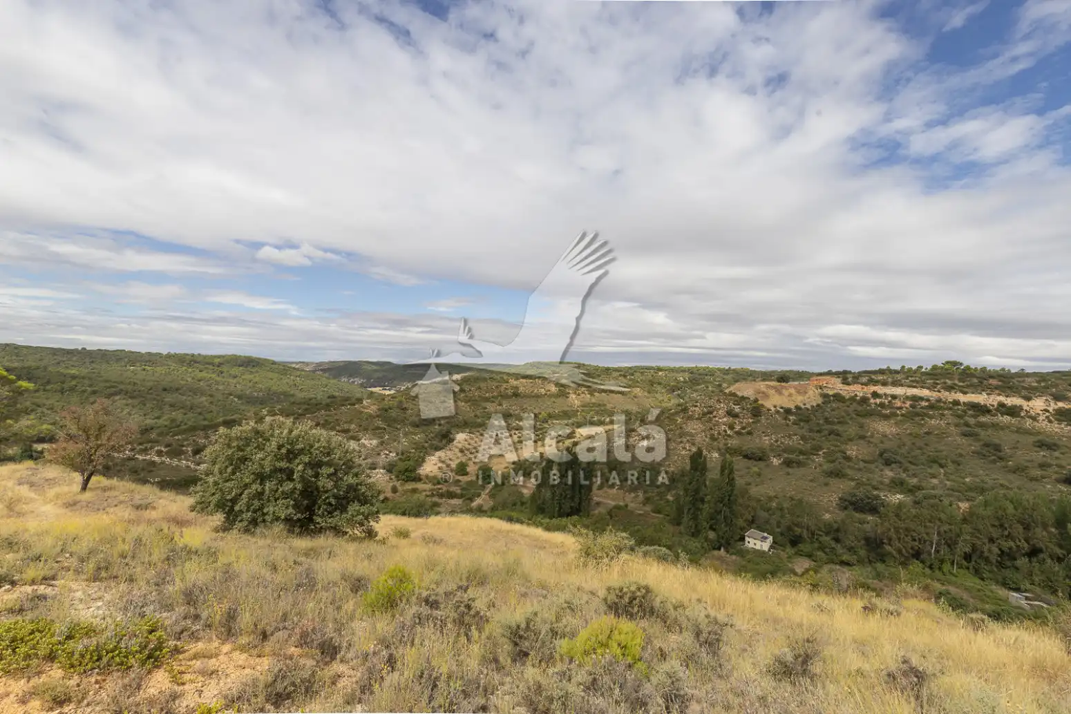 Residential land for sale in Hueva, imagen 19