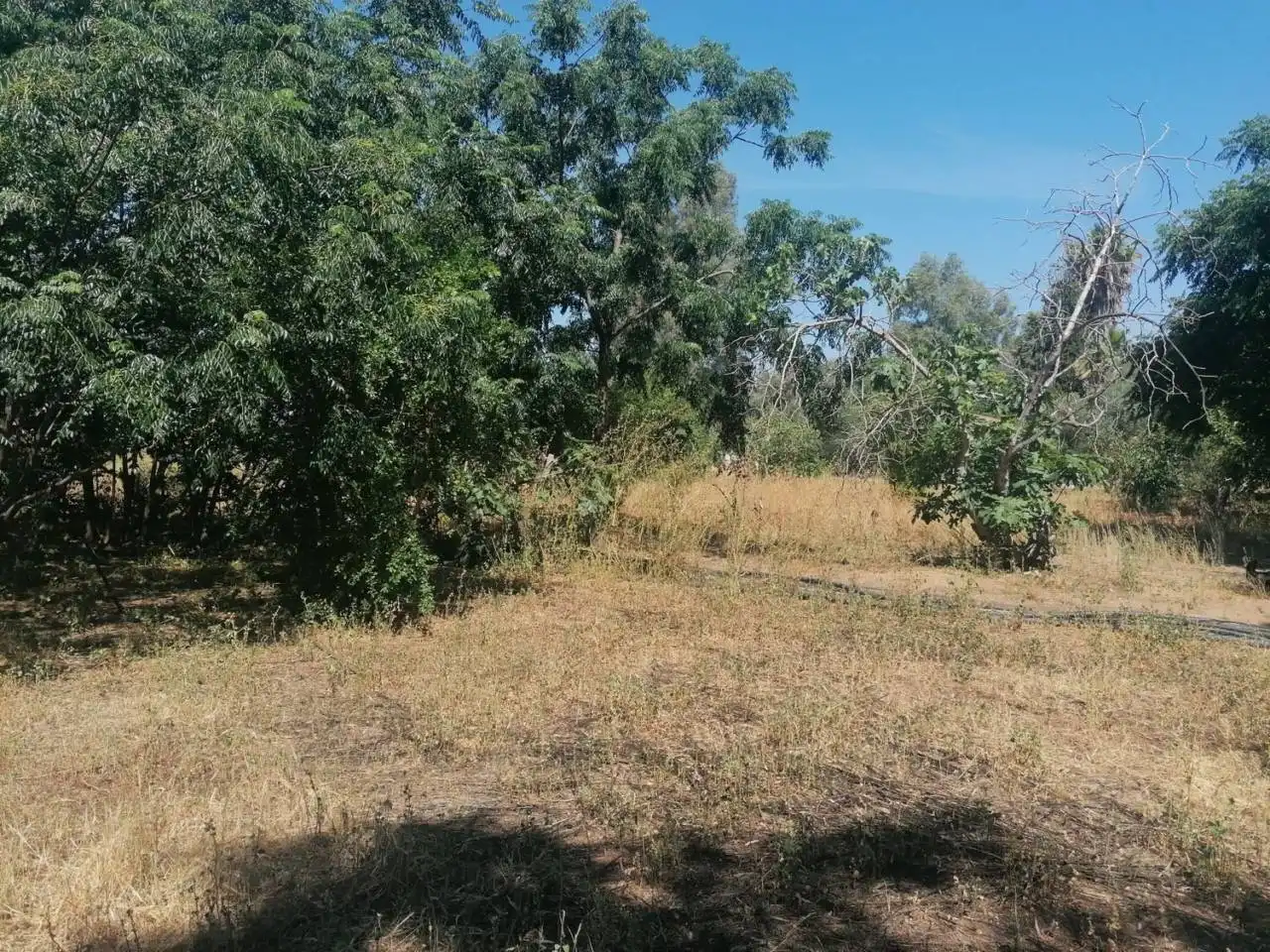 Chalet en venta en Calle URB. CAÑADA BAJA, imagen 12