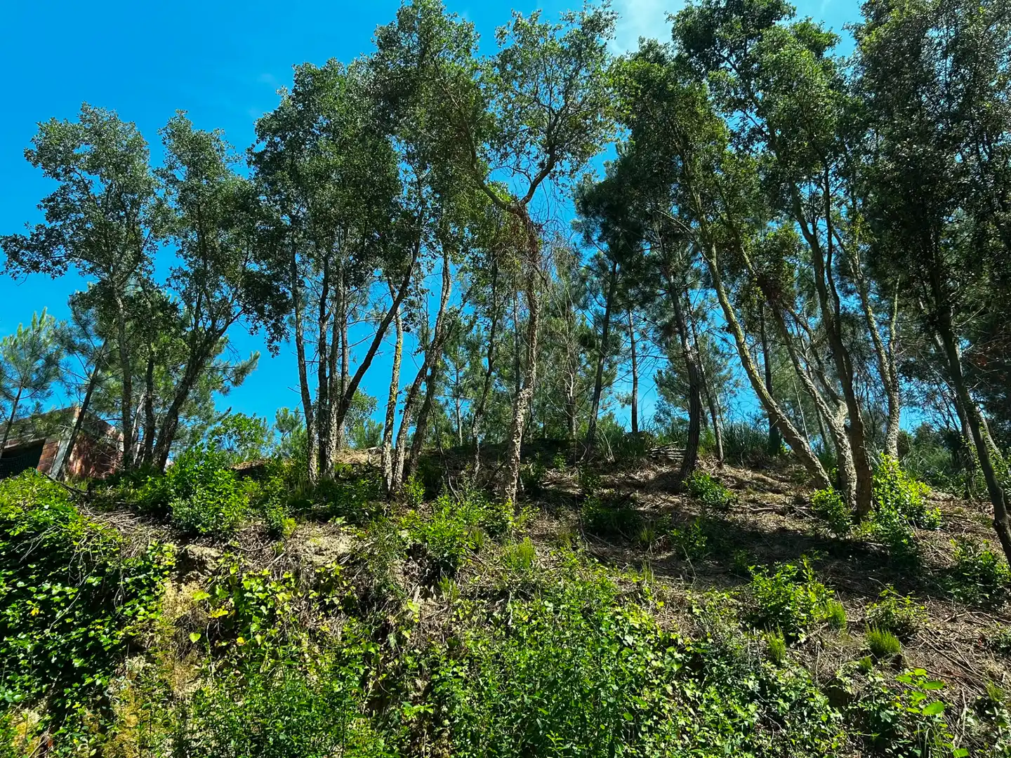 Terreno residencial en venta en Lloret Blau - La Creu de Lloret
