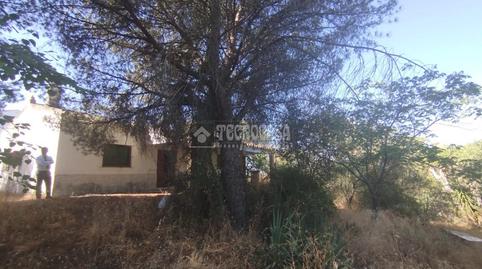 Photo 4 of Country house for sale in Almodóvar del Río, Córdoba