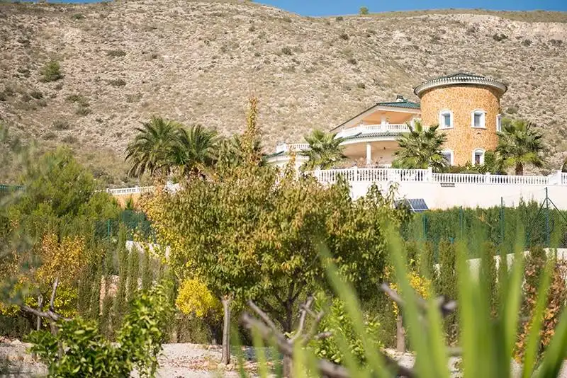 Xalet amb piscina en venda a Hondón de las Nieves / El Fondó de les Neus, imagen 44
