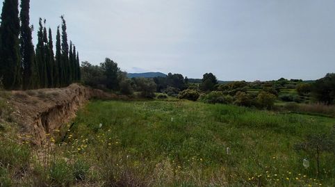 finca rustica, immagine 4