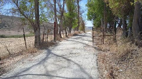 Photo 3 of Land for sale in El Jeme, Polígono 60, Morón de la Frontera, Sevilla