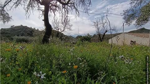 Foto 3 de Finca rústica en venda a Bédar, Almería