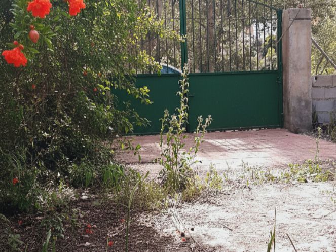 Garten von Grundstücke zum verkauf in El Pinar