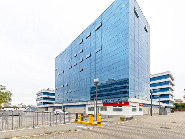 Oficina en Venta en Calle Pino Estrobo en Palmete