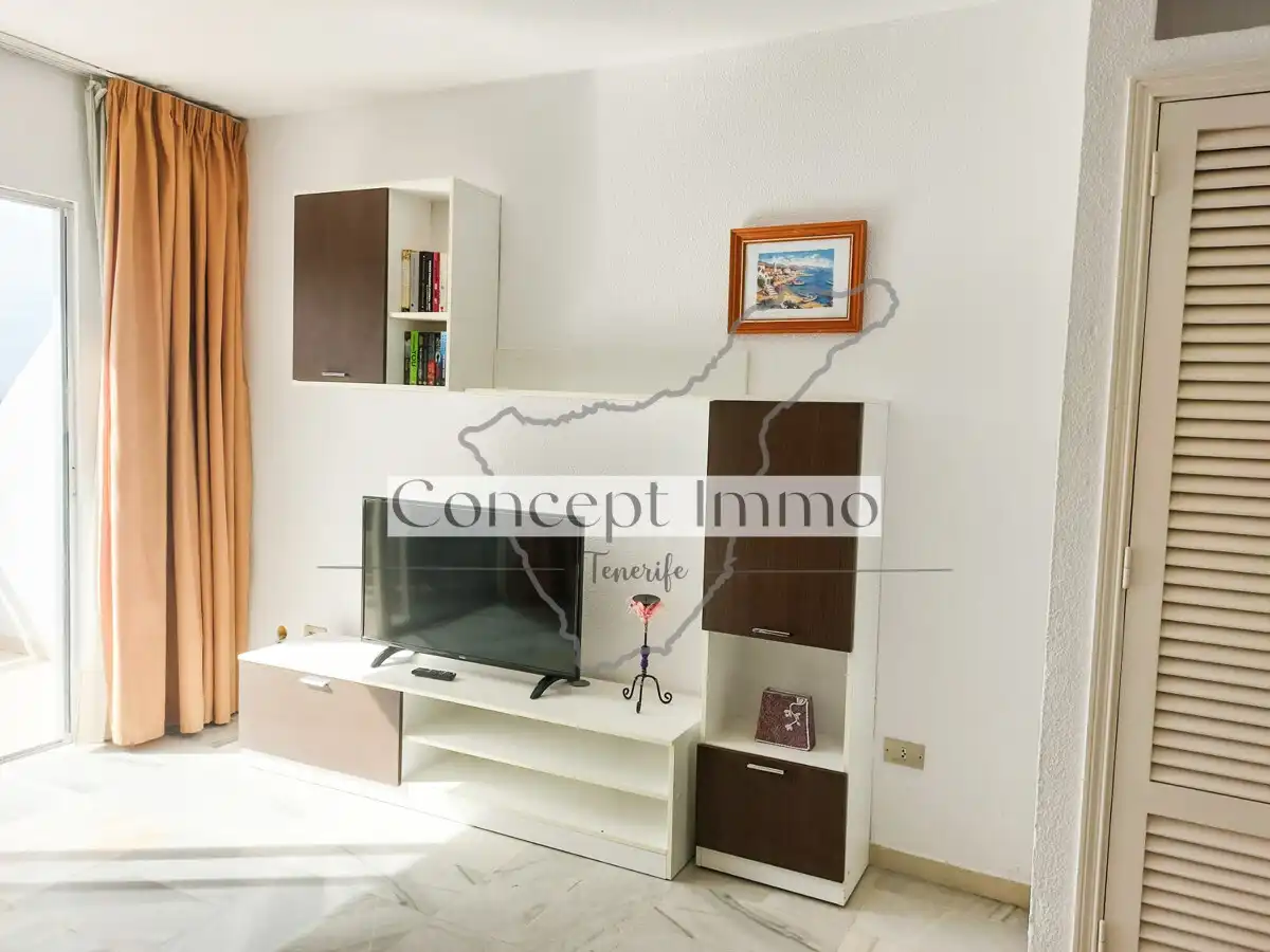 Monolocale con terrazza in vendita a Calle Finlandia, imagen 15