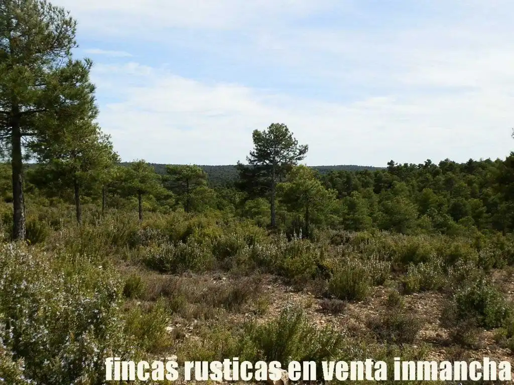 Terreni e lotti in vendita a Carboneras de Guadazaón, imagen 11