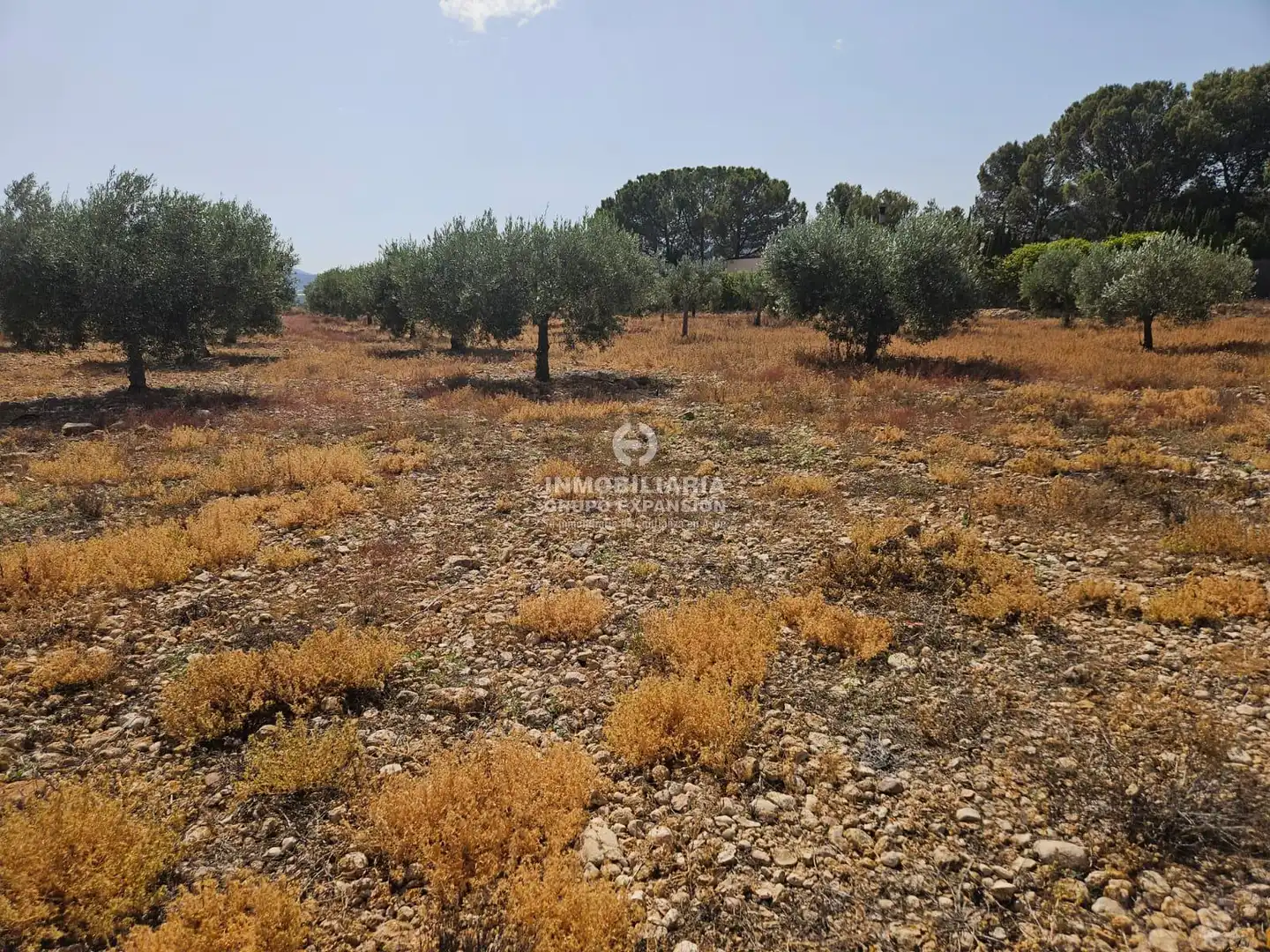 Casa o chalet en venta en Aspe
