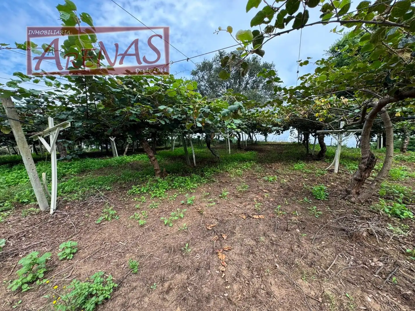 Land for sale in Marina de Cudeyo