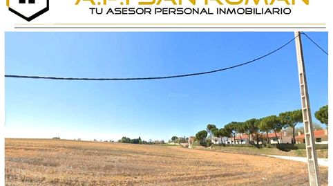 Immagine 1 dell'annuncio