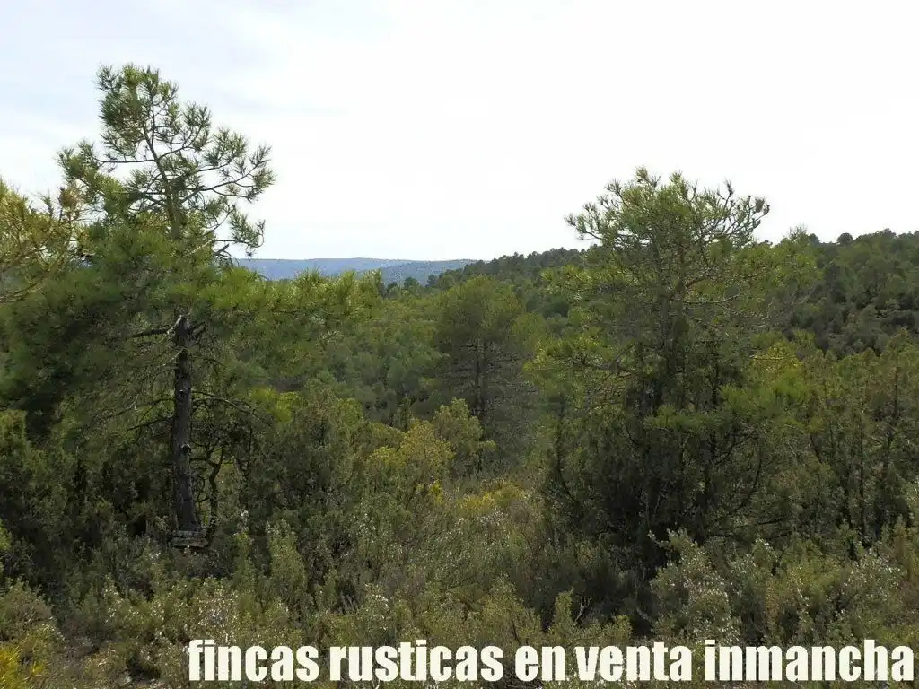 Terreni e lotti in vendita a Carboneras de Guadazaón, imagen 4