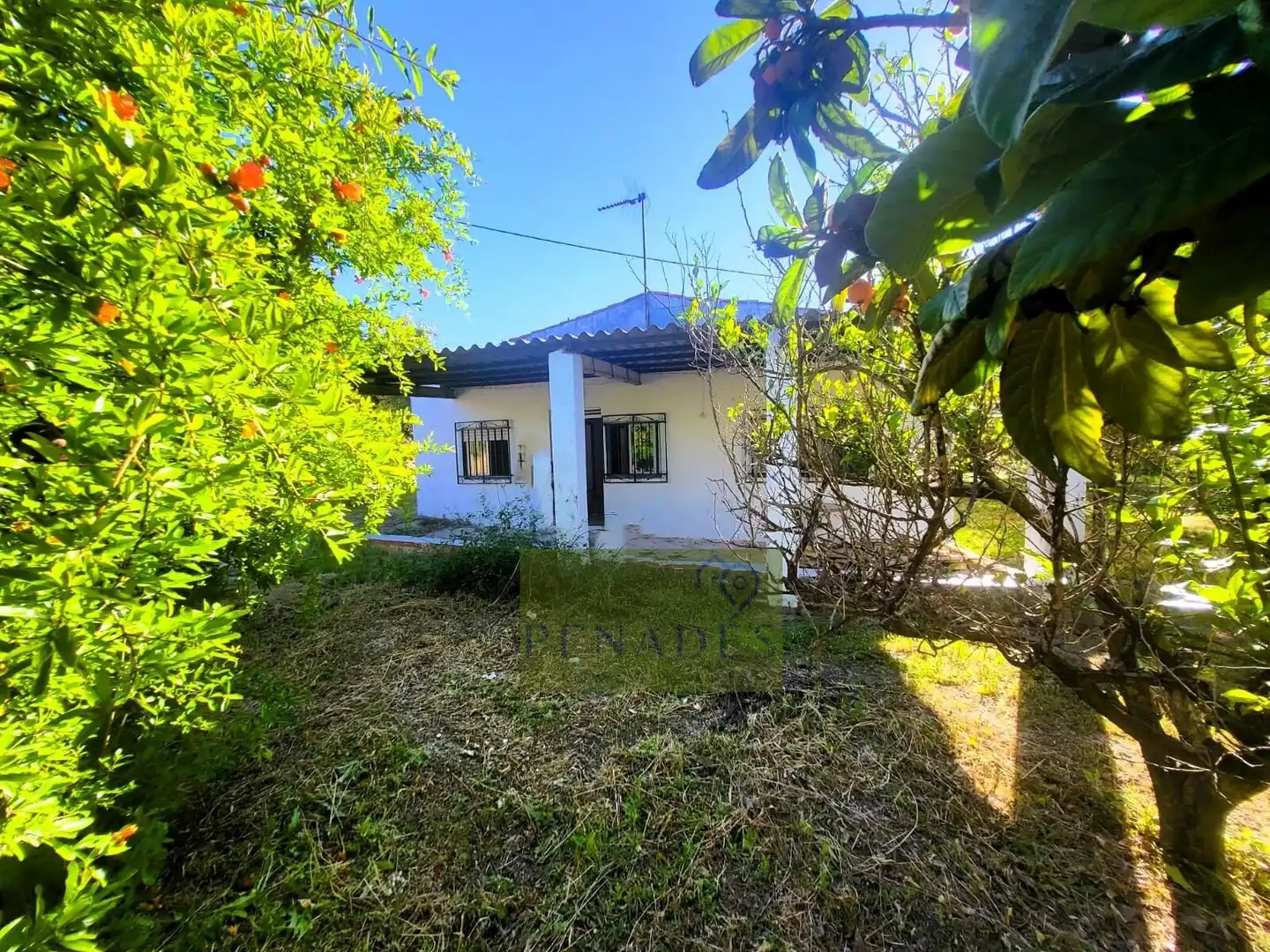 Vista exterior de Casa o chalet en venta en Ontinyent con Jardín privado